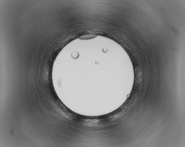 X0000111590266200908271015
