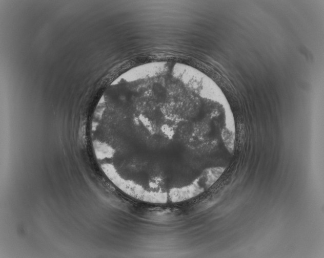 X0000111590267200908271015