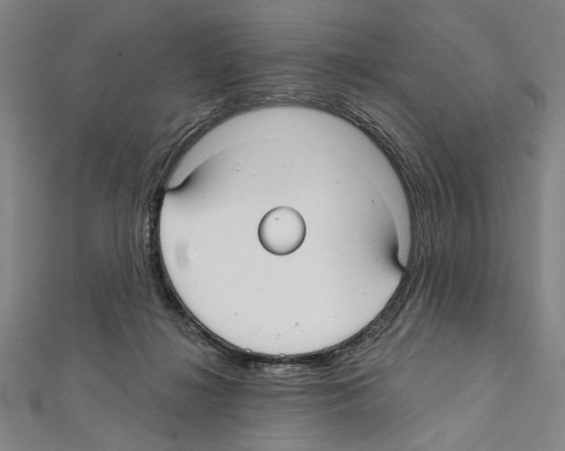 X0000111590268200908271015