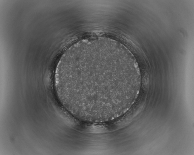 X0000111590270200908271015