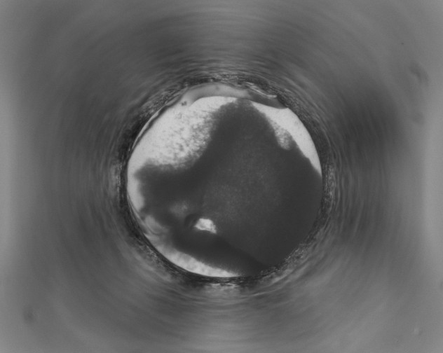 X0000111590271200908271015
