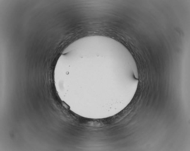 X0000111590272200908271015