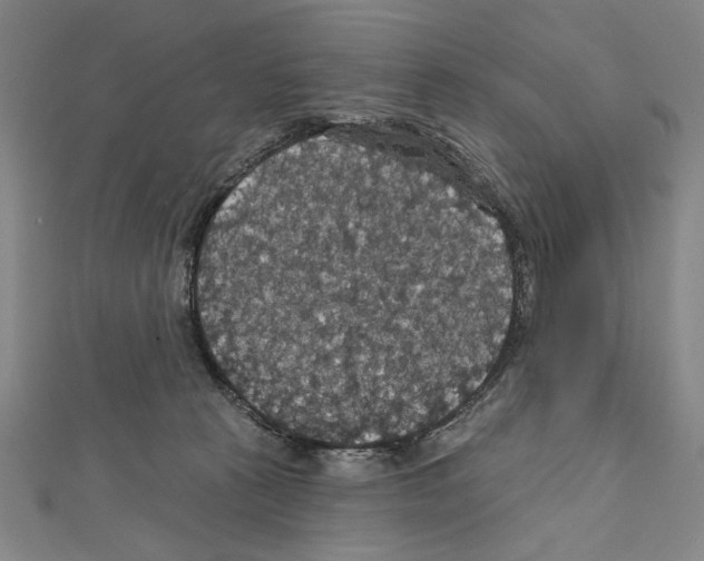 X0000111590273200908271015