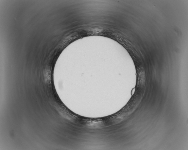 X0000111590274200908271015