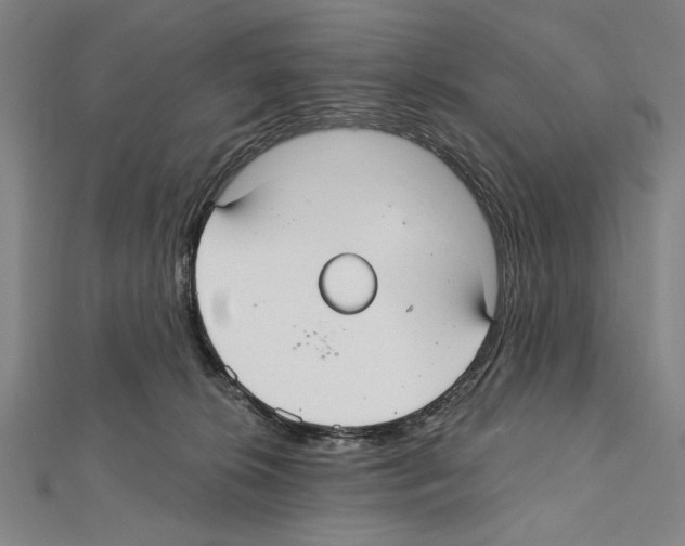 X0000111590276200908271015