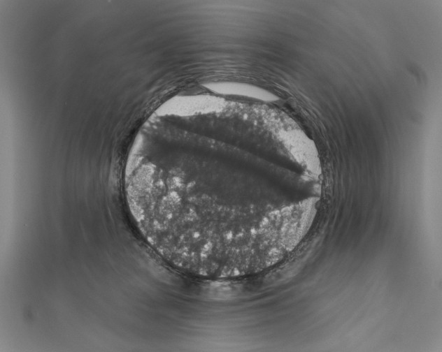 X0000111590277200908271015