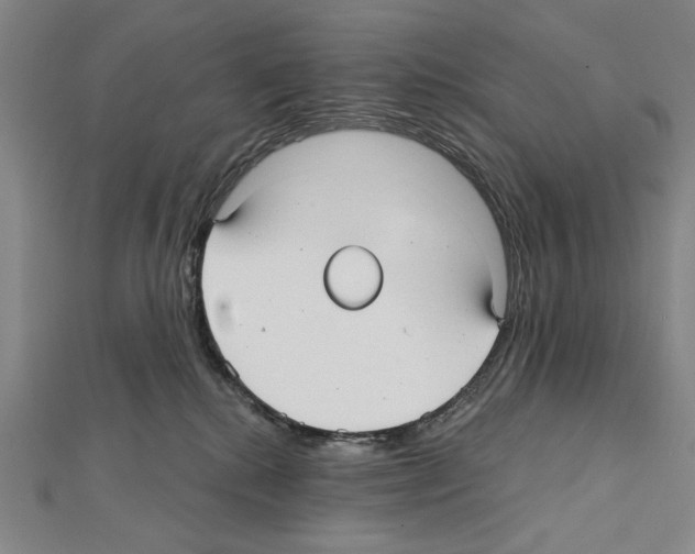 X0000111590280200908271015