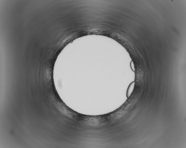X0000111590282200908271015