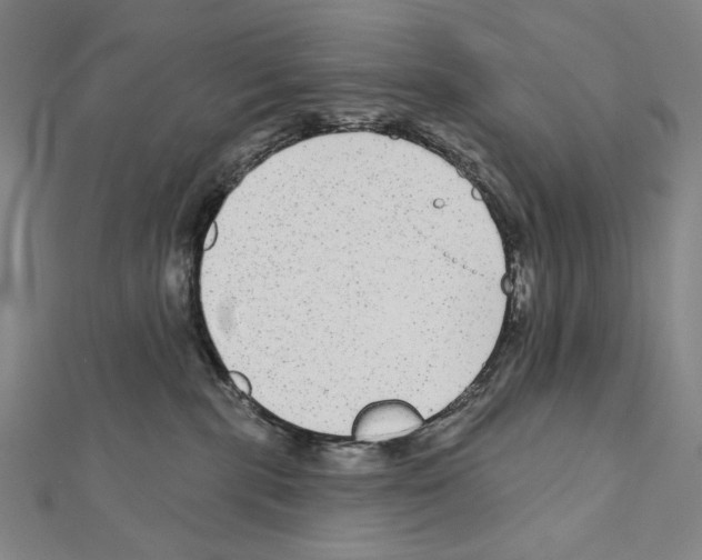 X0000111590283200908271015