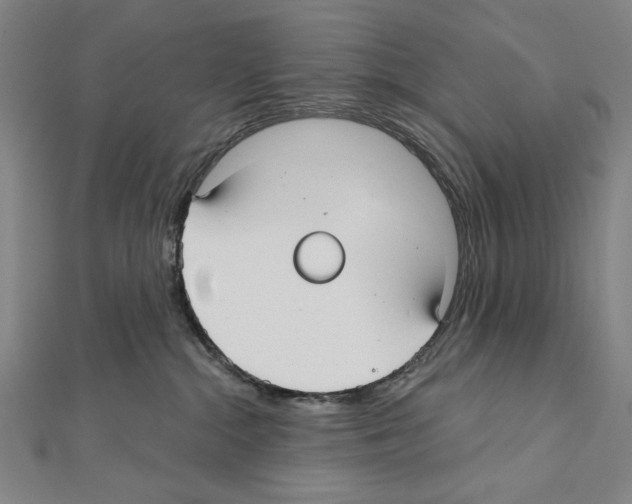X0000111590284200908271015