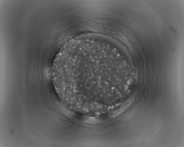 X0000111590285200908271015