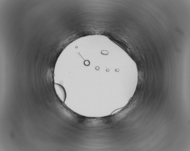 X0000111590286200908271015