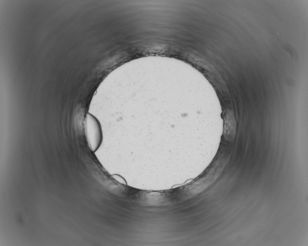 X0000111590287200908271015
