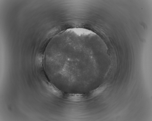 X0000111590288200908271015