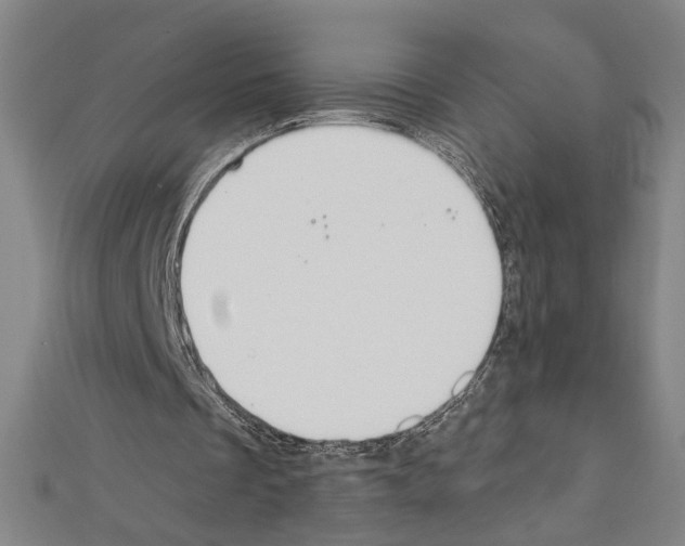 X0000111590289200908271015