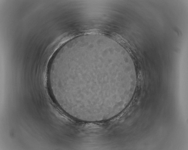 X0000111590290200908271015