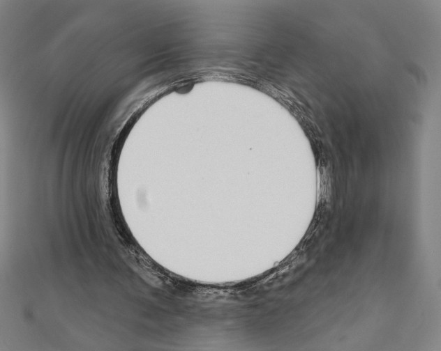 X0000111590291200908271015