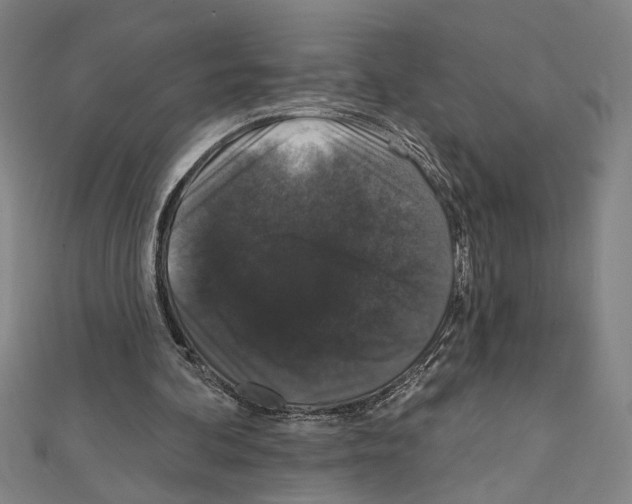 X0000111590292200908271015