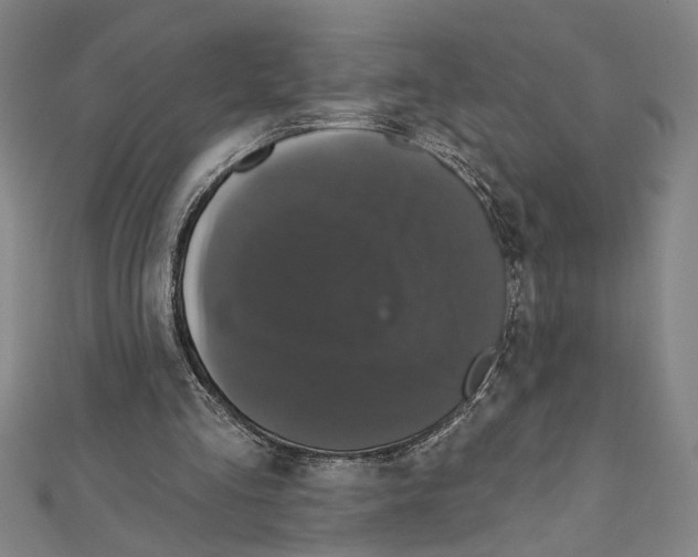 X0000111590293200908271015
