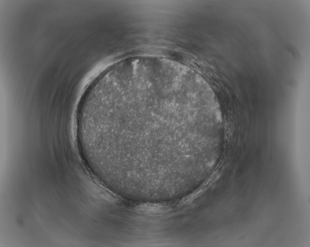 X0000111590294200908271015