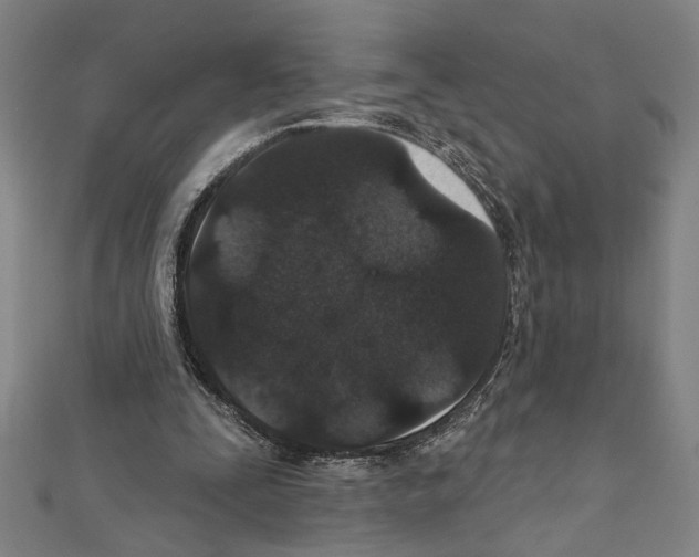 X0000111590295200908271015
