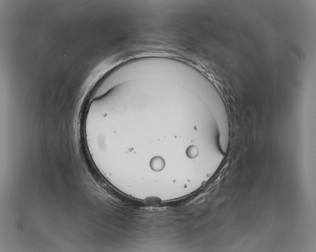 X0000111590296200908271015