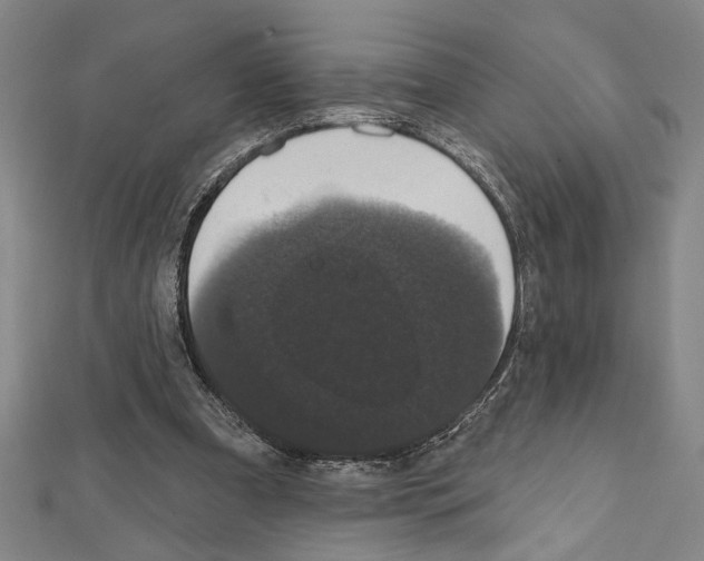 X0000111590297200908271015