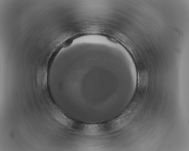 X0000111590301200908271014