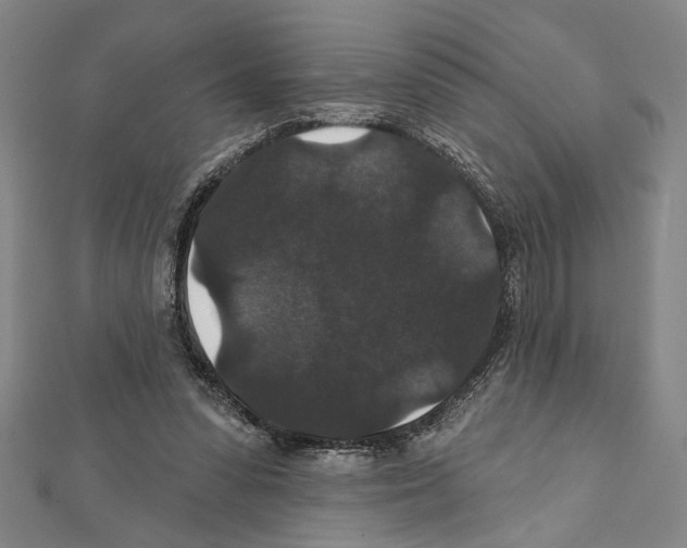 X0000111590303200908271014