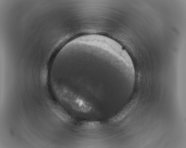X0000111590304200908271014