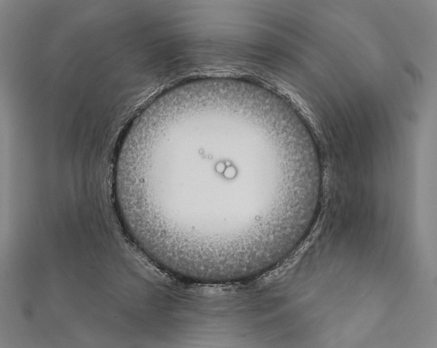 X0000111590305200908271014