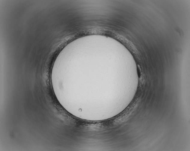 X0000111590306200908271014