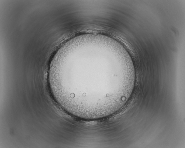 X0000111590309200908271014
