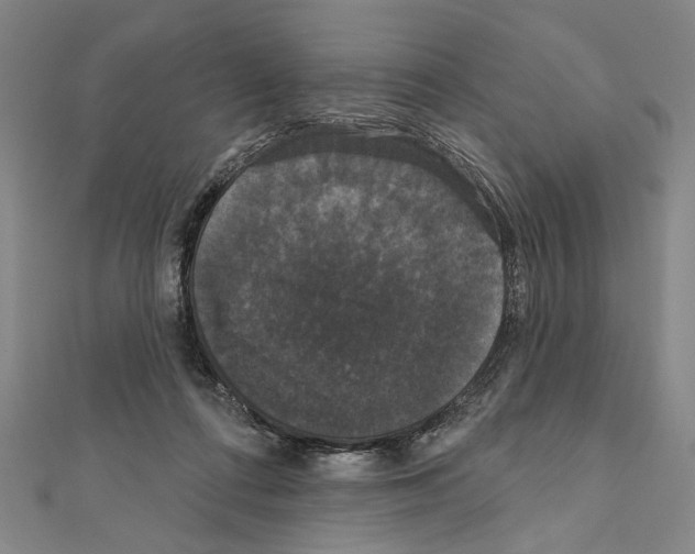 X0000111590312200908271014