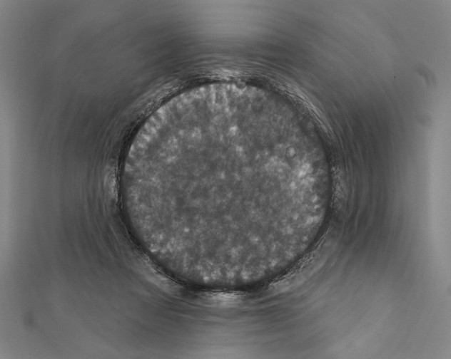 X0000111590313200908271014