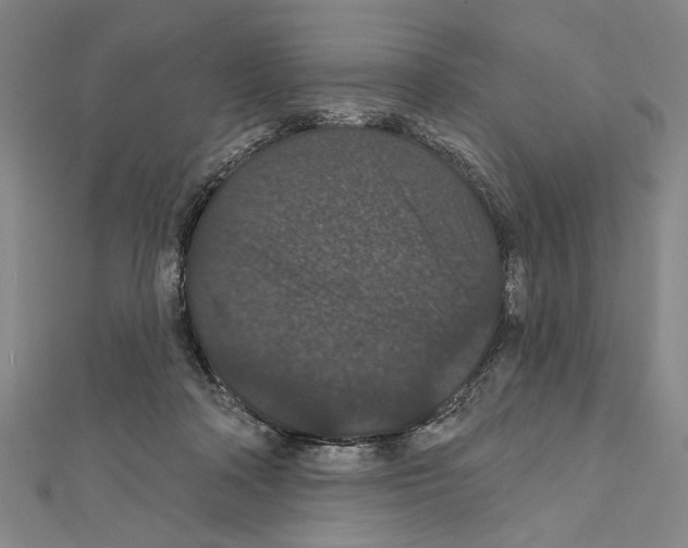 X0000111590314200908271014
