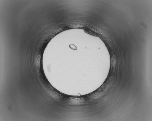 X0000111590315200908271014