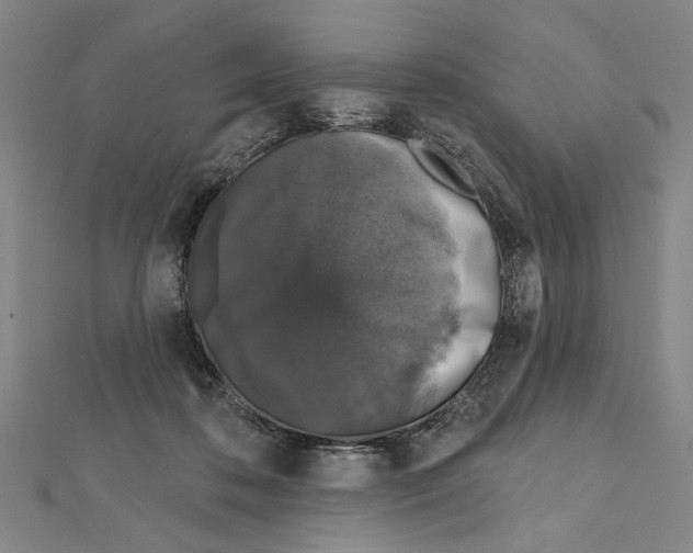 X0000111590316200908271014