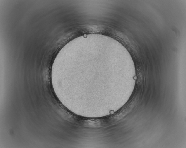 X0000111590317200908271014