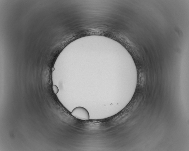 X0000111590318200908271014