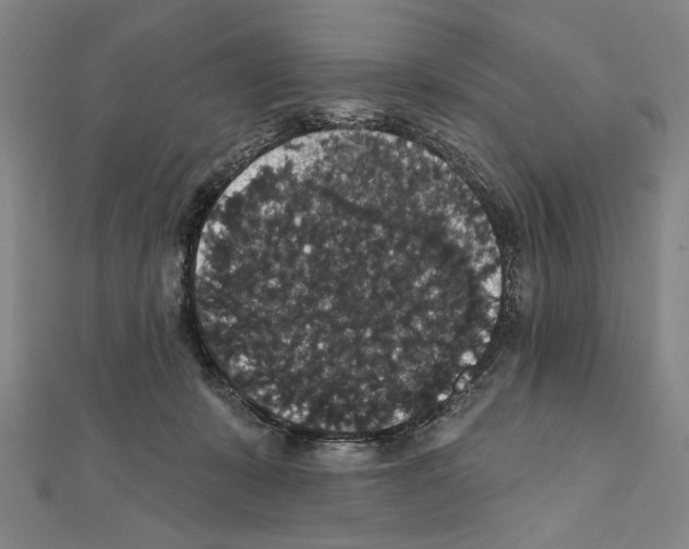X0000111590319200908271014