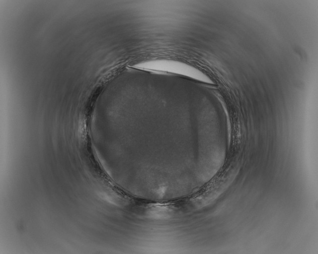 X0000111590320200908271014