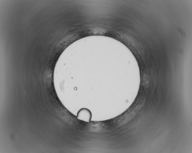 X0000111590321200908271014