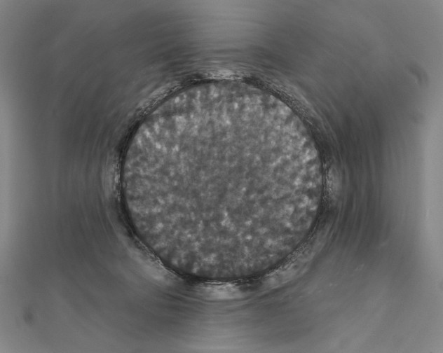 X0000111590322200908271014