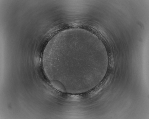 X0000111590324200908271014