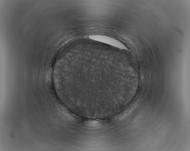 X0000111590325200908271014