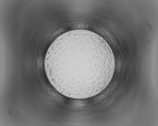 X0000111590326200908271014