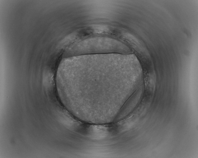 X0000111590327200908271014