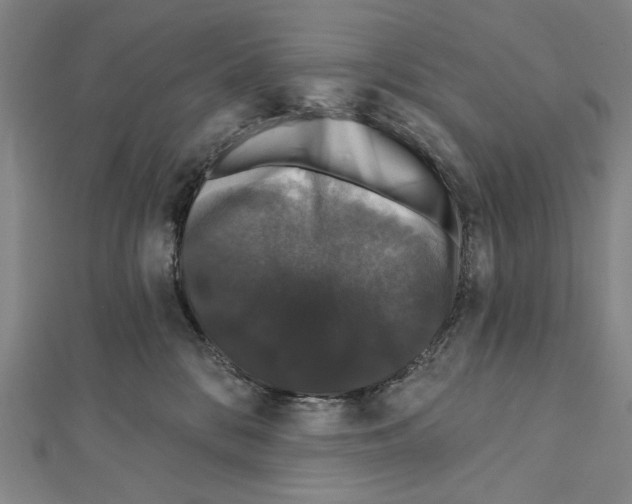 X0000111590328200908271014