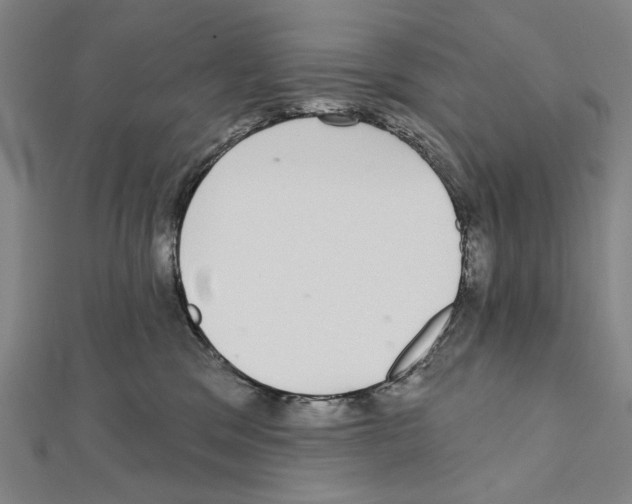 X0000111590329200908271014